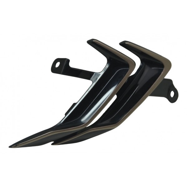 Acabamento Lateral Bmw S 1000rr 20-22 Original