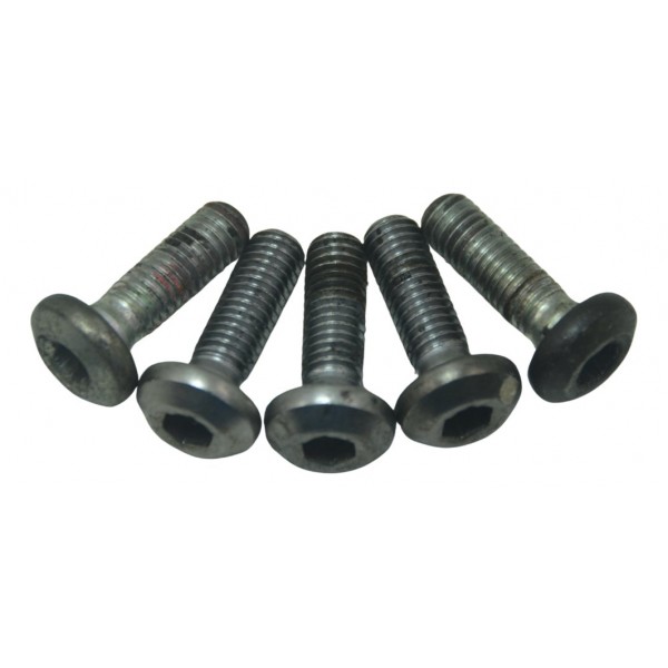 Kit Parafuso Disco Freio Yamaha Mt 03 16-19 Original