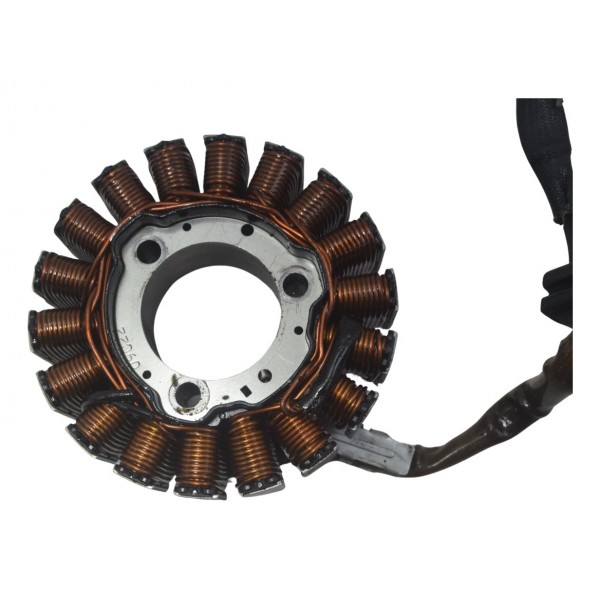 Estator Bmw G310 Gs 20-24 Original