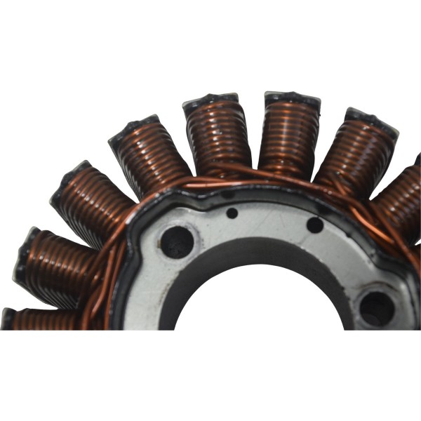 Estator Bmw G310 Gs 20-24 Original