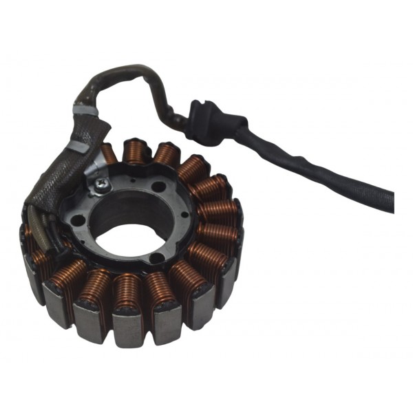 Estator Bmw G310 Gs 20-24 Original