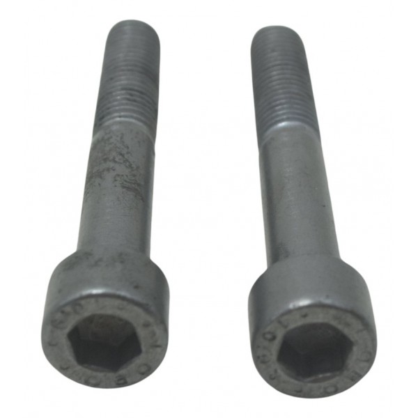 Par Parafuso Pinça Freio Dianteira Bmw G310 Gs 20-24 Orig