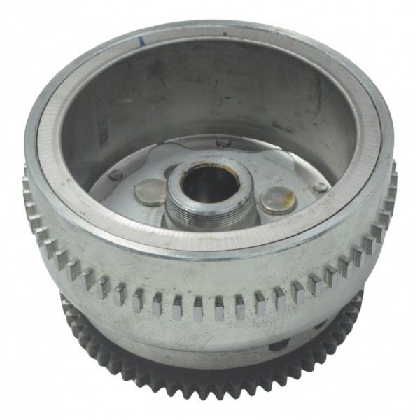 Volante Magneto C/ Placa Partida S/rolamen Bmw G310 Gs 20-24