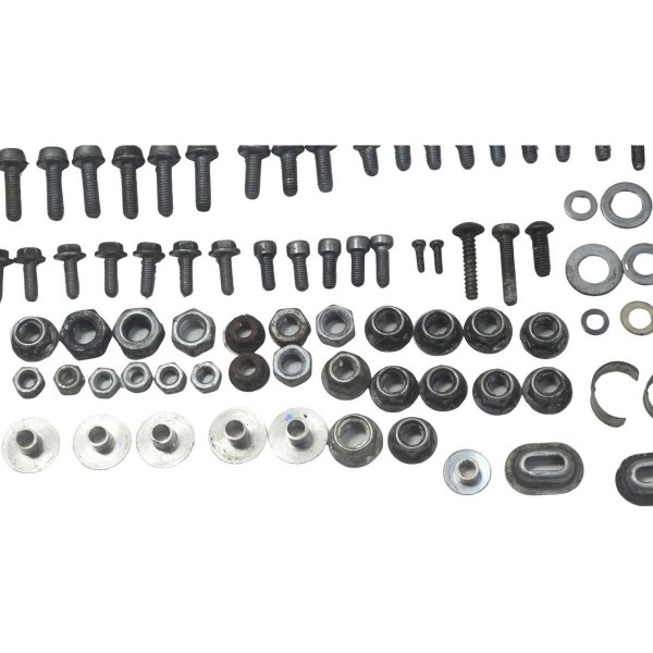 Kit Parafusos Diversos Bmw G310 Gs 20-24 Original