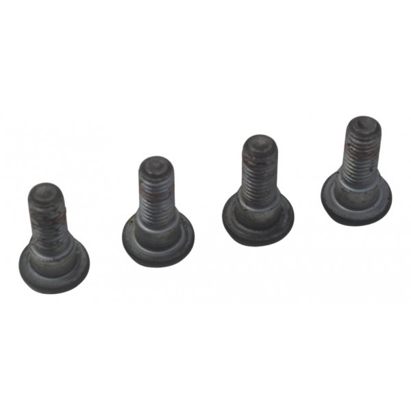 Jogo Parafuso Disco Freio Tras Honda Cb 600f Hornet 08-11