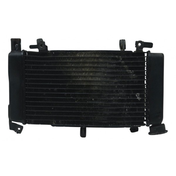 Radiador C/detalhes Honda Cb 500 F 14-15 Original