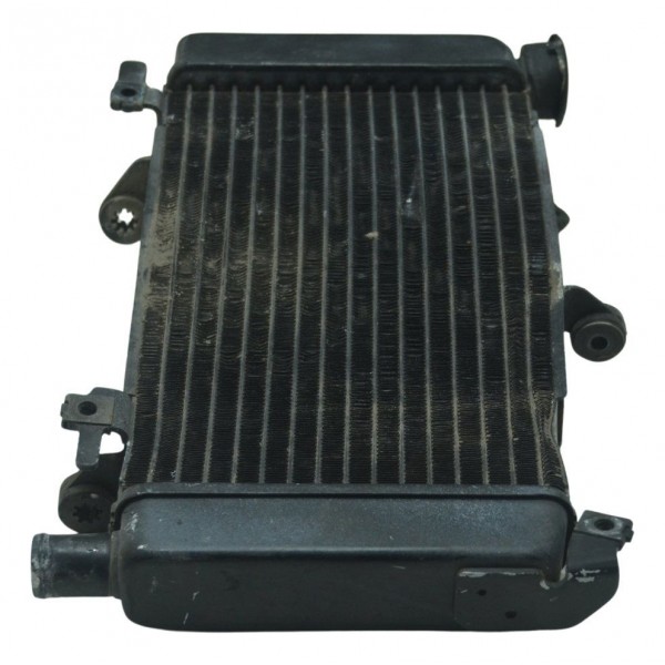 Radiador C/avaria Honda Cb 500 F 14-15 Original