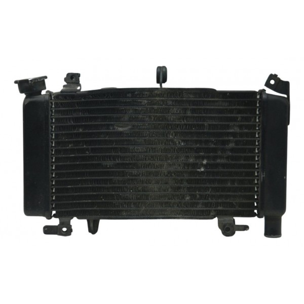 Radiador C/ Detalhes Honda Cb 500 F 14-15 Original