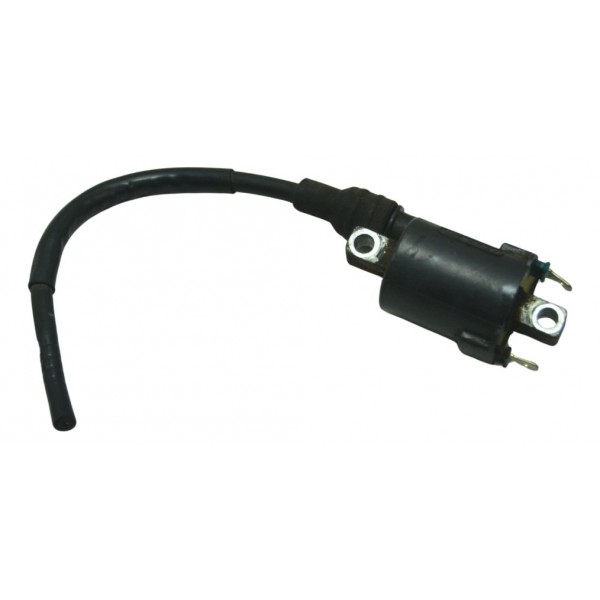 Bobina Ignição S/ Cachimbo Honda Cb 500 F 14-15 Original