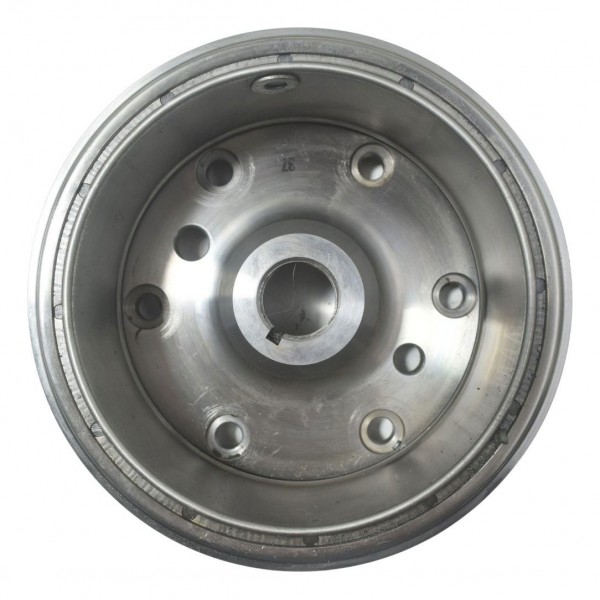 Volante Magneto Bmw F 650 Gs 09-12 Original