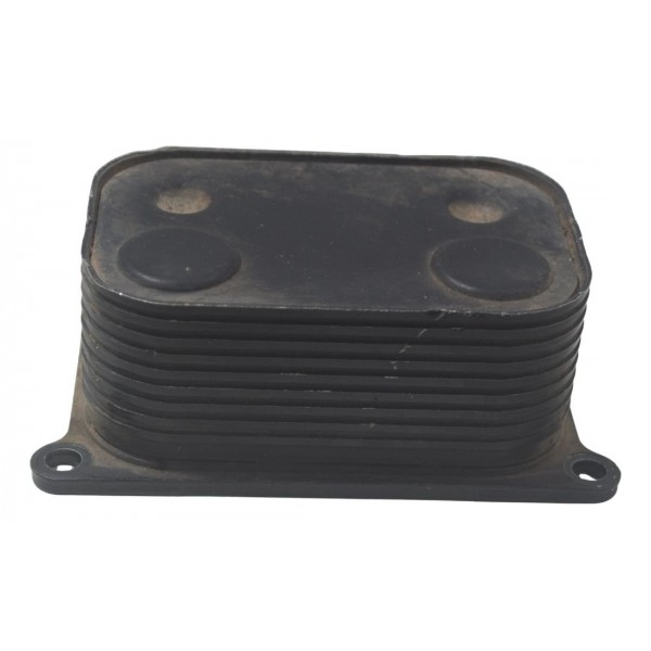 Resfriador Óleo Bmw F 650 Gs 09-12 Original