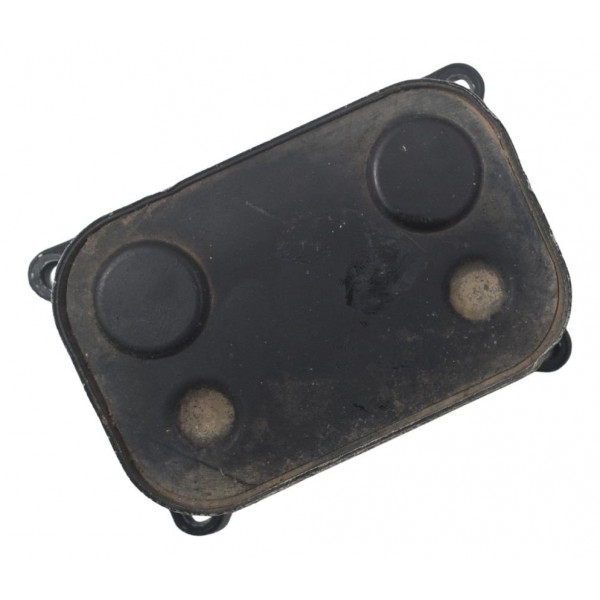 Resfriador Óleo Bmw F 650 Gs 09-12 Original