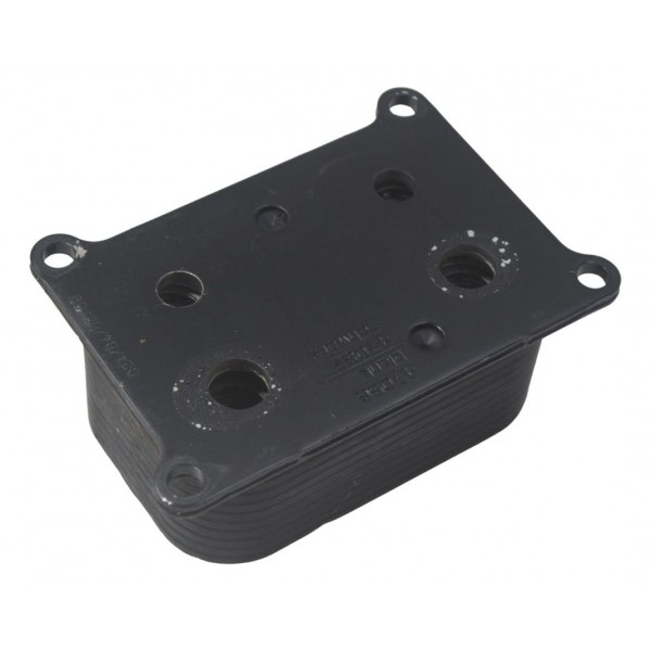 Resfriador Óleo Bmw F 650 Gs 09-12 Original