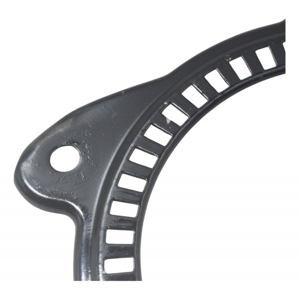 Roda Fônica Traseira Bmw F 650 Gs 09-12 Original