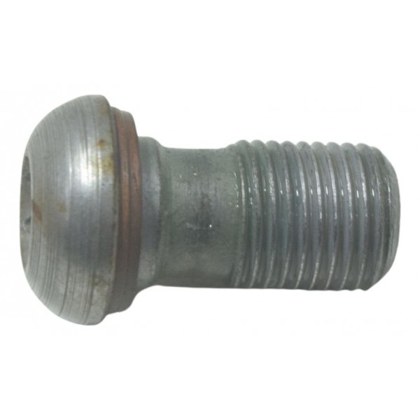 Parafuso Flexível Freio Bmw F 650 Gs 09-12 Original