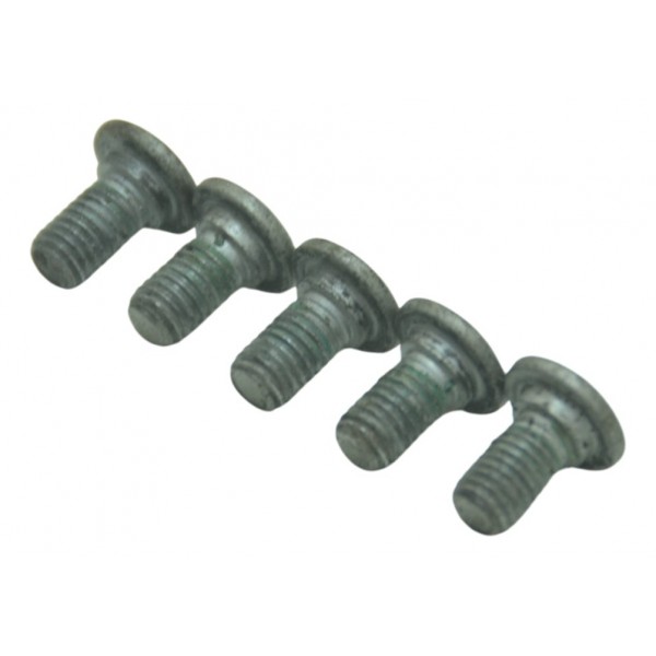 Jogo Parafusos Disco Traseiro Bmw K 1300 Gt 09-10 Original