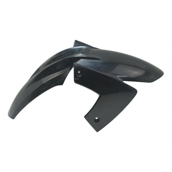 Paralama Dianteiro C/ Detalhes Bmw F 800 R 10-14 Original