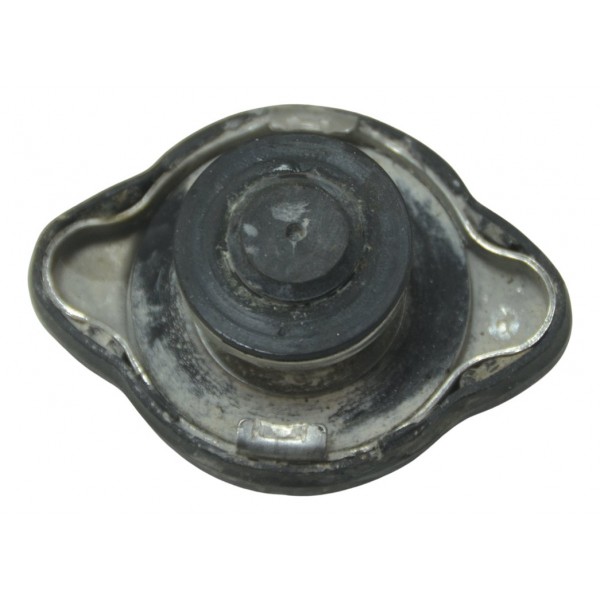 Tampa Radiador Bmw F 800 R 10-14 Original