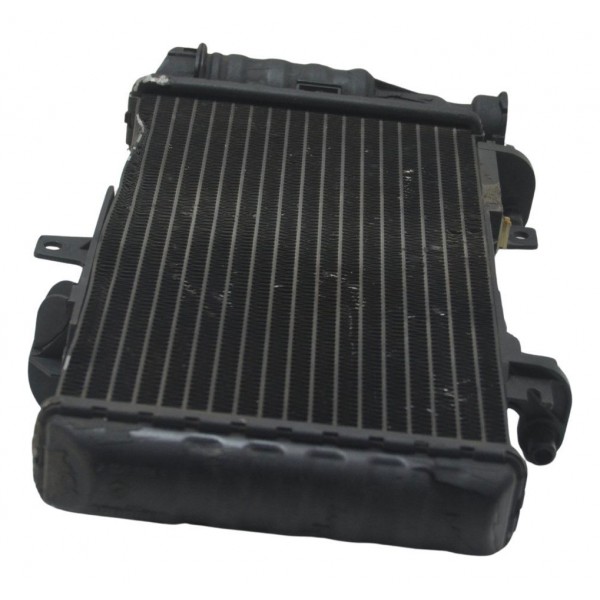 Radiador C/ Detalhes Bmw F 800 R 10-14 Original