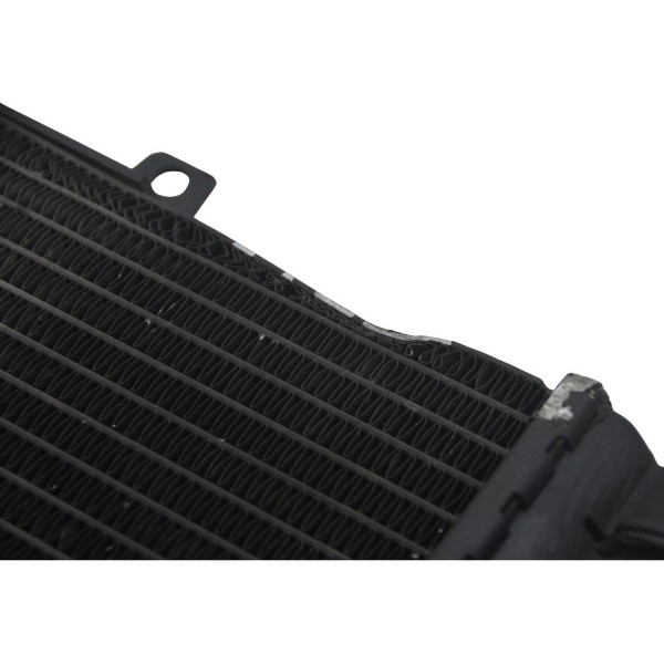 Radiador C/ Detalhes Bmw F 800 R 10-14 Original