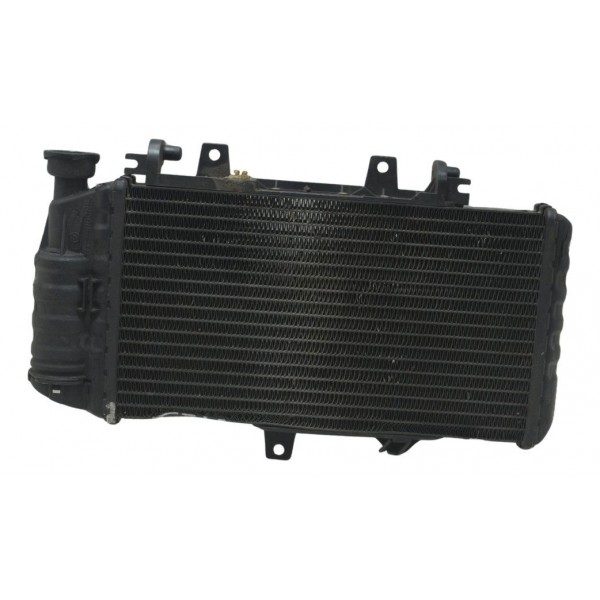 Radiador C/ Detalhes Bmw F 800 R 10-14 Original