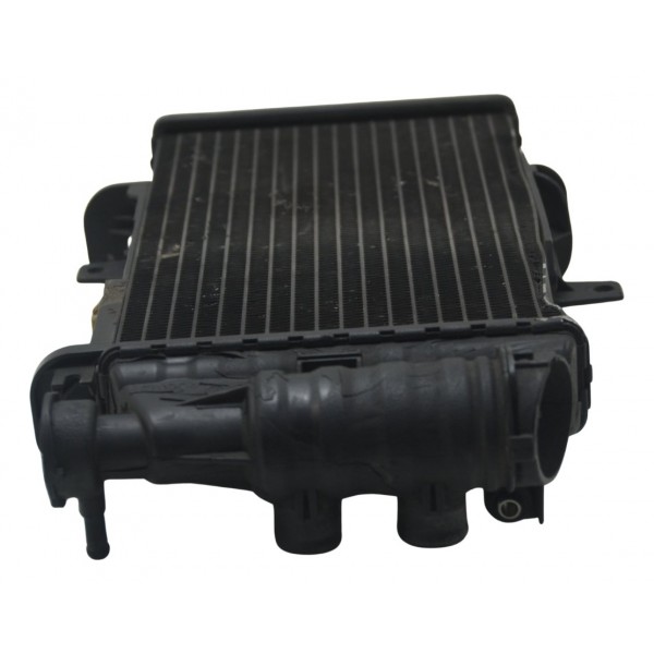 Radiador C/ Detalhes Bmw F 800 R 10-14 Original