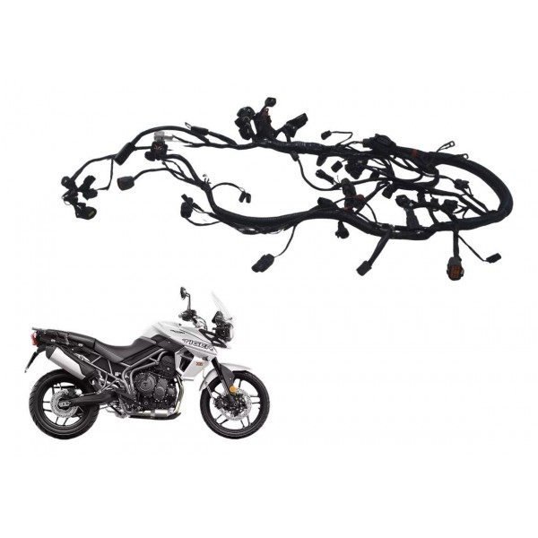 Chicote Principal Triumph Tiger 800 Xrx 18-20 Original