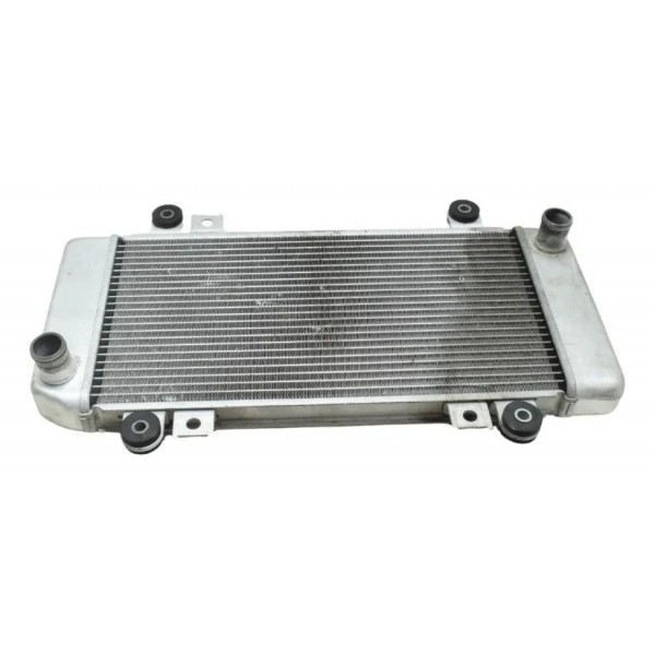 Radiador Kawasaki Ninja 250r 09-12 Original