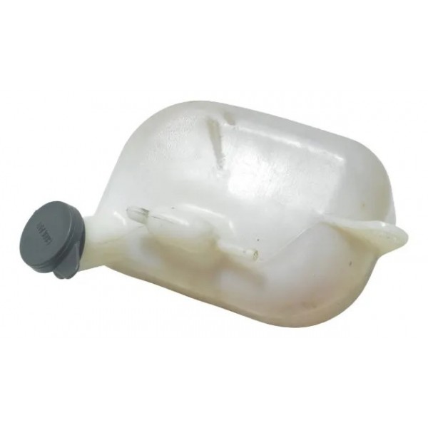 Reservatório Água Honda Cb 500 Cb500 98-05 Original