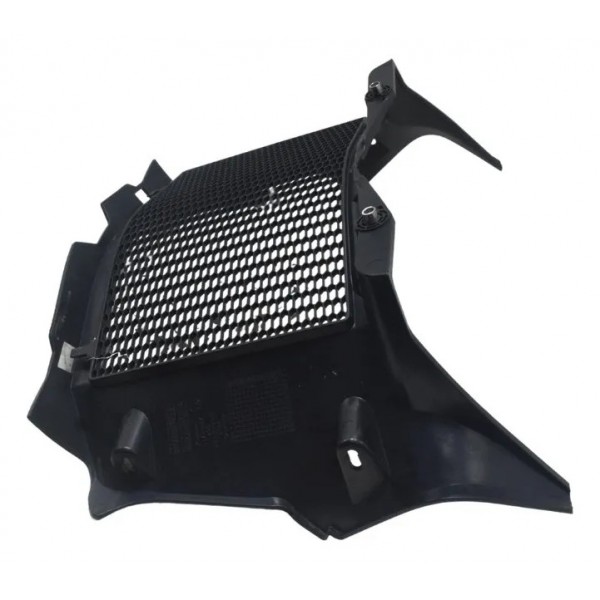 Grade Radiador Bmw F 750 Gs 18-22 Original