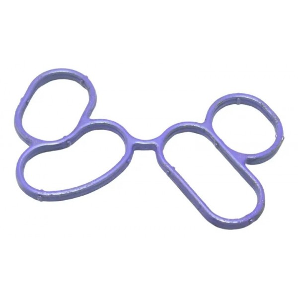 Junta Resfriador Óleo Bmw F 750 Gs 18-22 Original