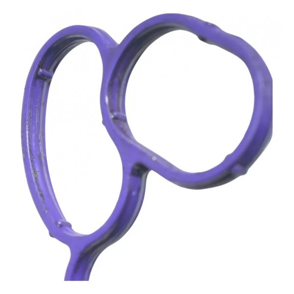 Junta Resfriador Óleo Bmw F 750 Gs 18-22 Original