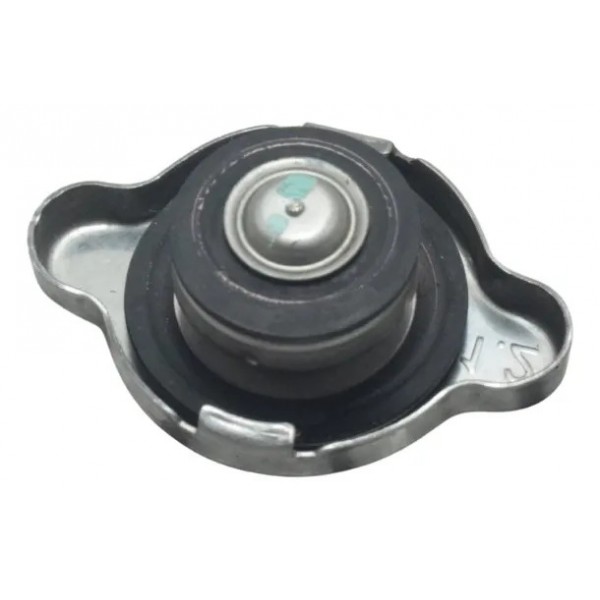 Tampa Radiador Bmw F 750 Gs 18-22 Original