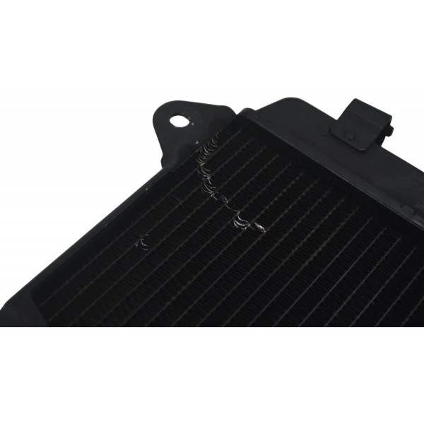 Radiador Bajaj Dominar 400 23-25 Original