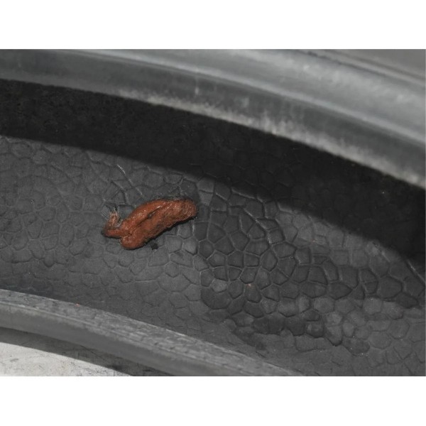 Pneu Michelin Pilot Street Radial 150/60 R17 66h C/ Reparo