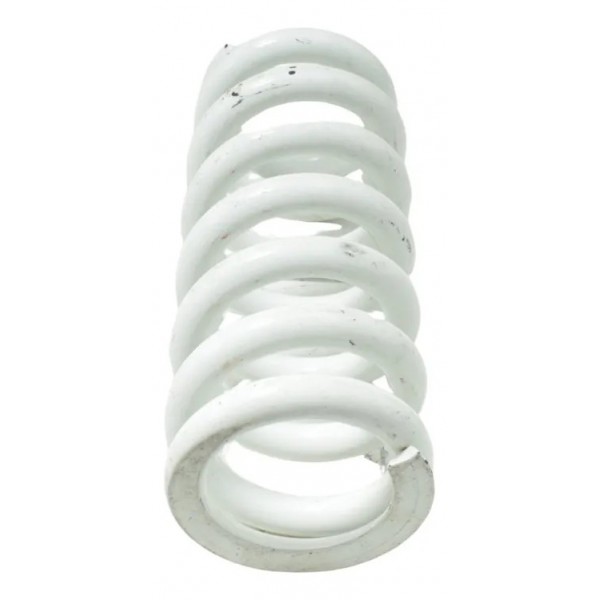 Mola Amortecedor Traseiro Bmw R 1250 Gs 19-24 Original