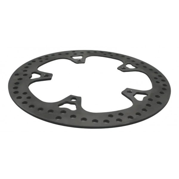 Disco Freio Traseiro Bmw R 1300 Gs Triple Black 24-26 Origi