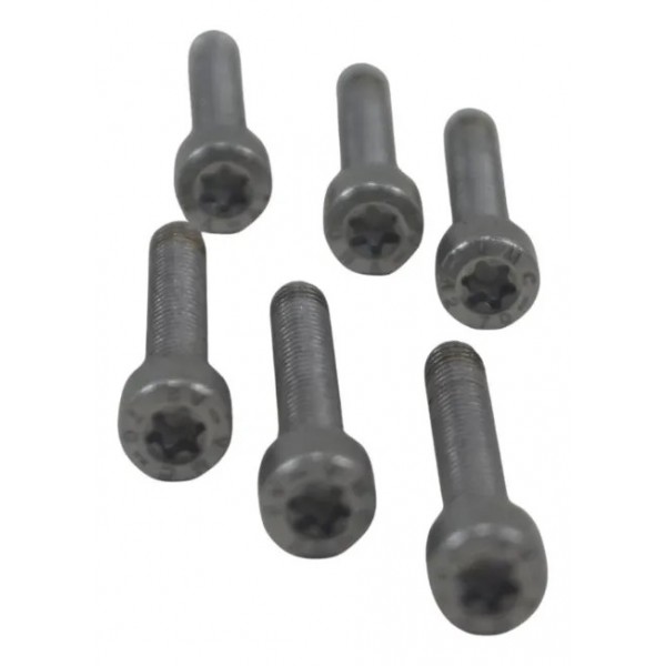 Kit Parafuso Tanque Bmw R 1300 Gs Triple Black 24-26 Origi