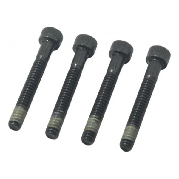 Parafuso Tampa Estator Harley Softail Heritage Classic 11-15