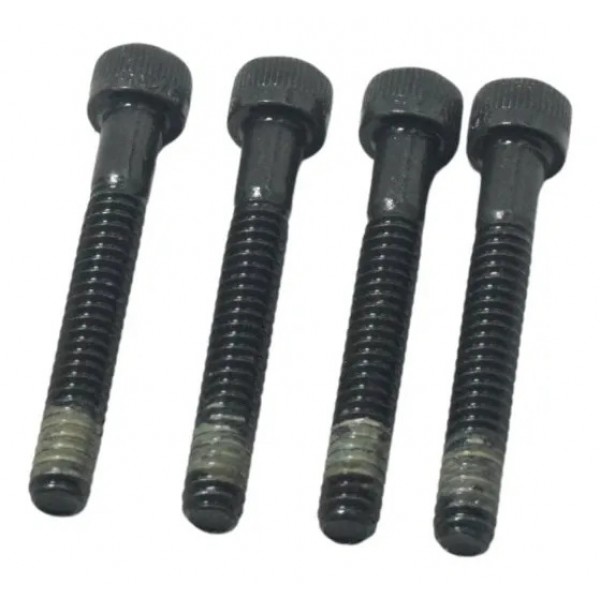 Parafuso Tampa Estator Harley Softail Heritage Classic 11-15