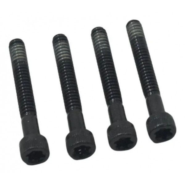 Parafuso Tampa Estator Harley Softail Heritage Classic 11-15