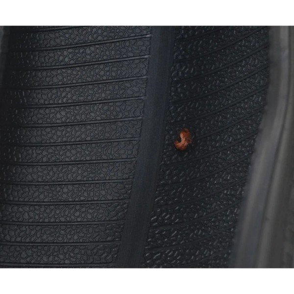 Pneu Pirelli Angel 180/55 Zr M/c 73 W Remendado