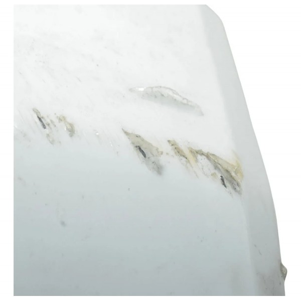 Capa Central Tanque C/ Detalhes Bmw S 1000 Rr 20-23 Original