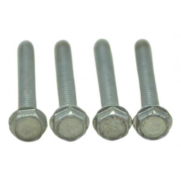 Jogo Parafusos Bengala Capa Harley Street Glide Cvo 2020