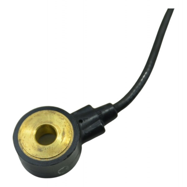 Sensor Detonação Harley Electra Glide Touring 17-19 Original