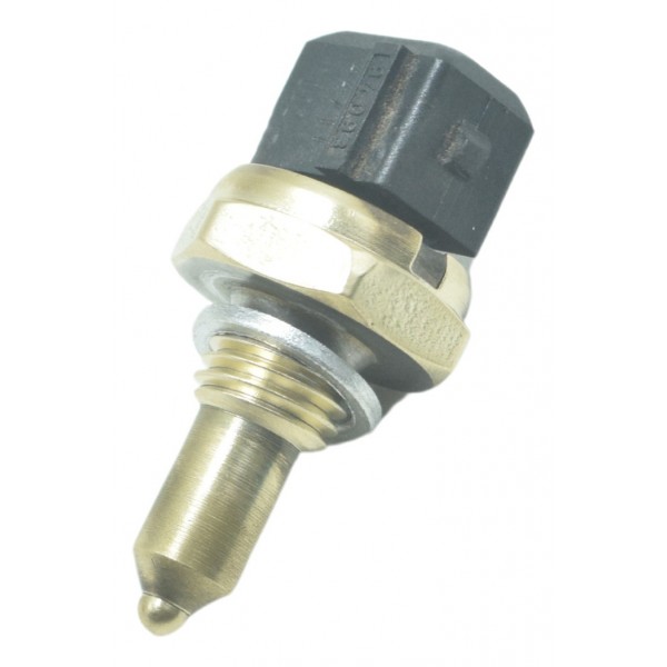 Sensor Temperatura Bmw F 800 R 09-15 Original