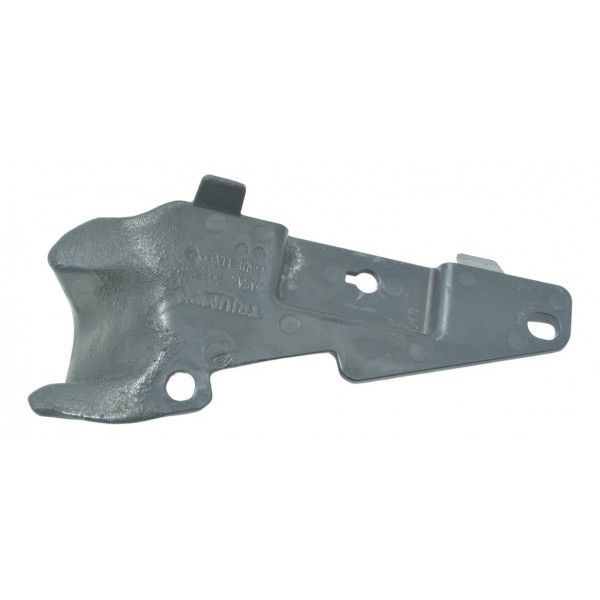 Acabamento Chassi Triumph Tiger 900 Rally Pro 20-24 Original