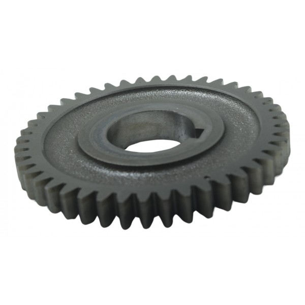 Engrenagem Motor Yamaha Xt 660 R 05-08 Original