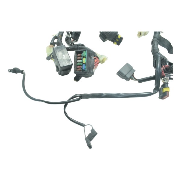 Chicote Principal Ducati Diavel 11-16 Original