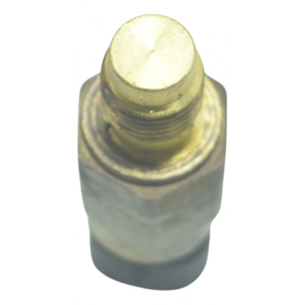 Sensor Temperatura Harley Electra Touring 08-13 Original